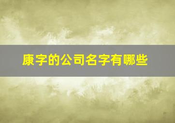 康字的公司名字有哪些