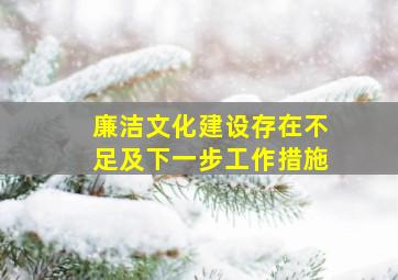 廉洁文化建设存在不足及下一步工作措施