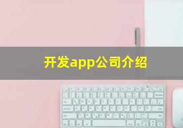 开发app公司介绍