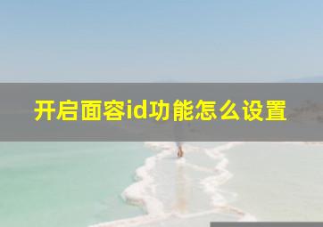 开启面容id功能怎么设置