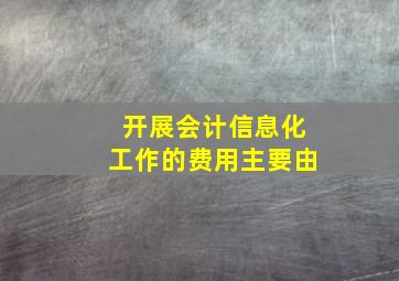 开展会计信息化工作的费用主要由