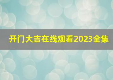 开门大吉在线观看2023全集