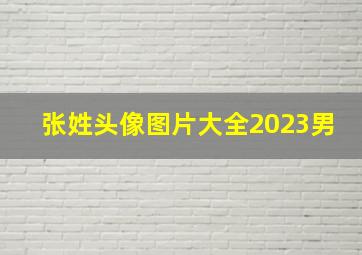 张姓头像图片大全2023男