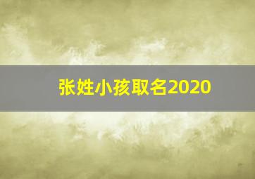 张姓小孩取名2020