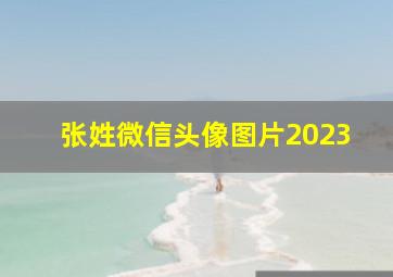 张姓微信头像图片2023