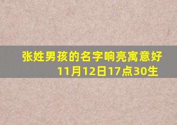 张姓男孩的名字响亮寓意好11月12日17点30生