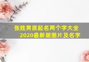 张姓男孩起名两个字大全2020最新版图片及名字