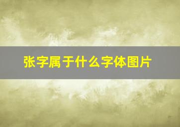 张字属于什么字体图片