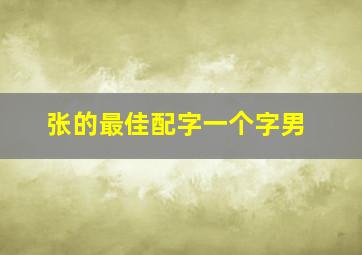 张的最佳配字一个字男