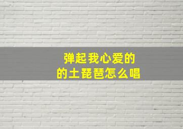 弹起我心爱的的土琵琶怎么唱