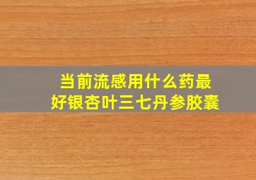 当前流感用什么药最好银杏叶三七丹参胶囊