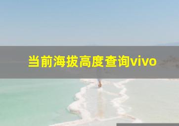 当前海拔高度查询vivo