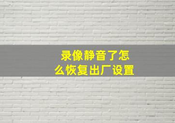 录像静音了怎么恢复出厂设置