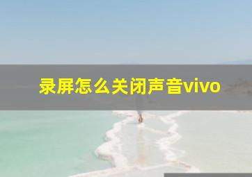 录屏怎么关闭声音vivo