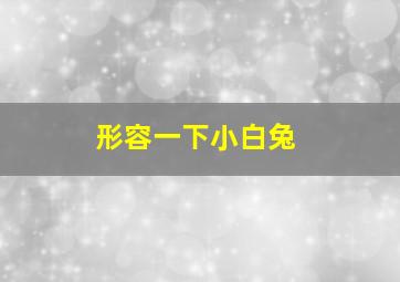 形容一下小白兔