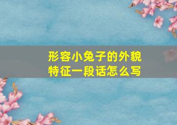 形容小兔子的外貌特征一段话怎么写