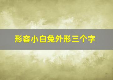 形容小白兔外形三个字