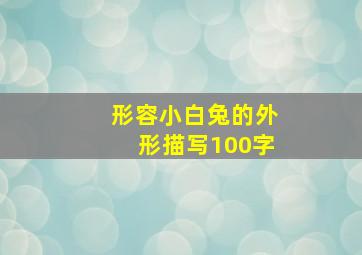 形容小白兔的外形描写100字