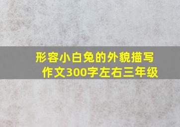 形容小白兔的外貌描写作文300字左右三年级