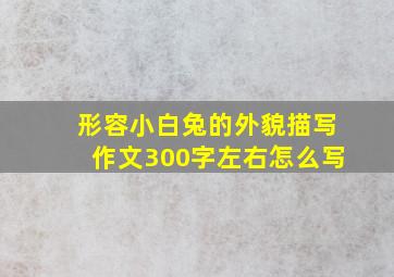 形容小白兔的外貌描写作文300字左右怎么写