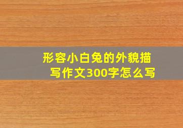 形容小白兔的外貌描写作文300字怎么写