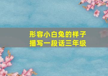 形容小白兔的样子描写一段话三年级