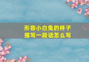 形容小白兔的样子描写一段话怎么写