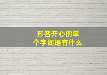 形容开心的单个字词语有什么