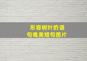 形容树叶的语句唯美短句图片