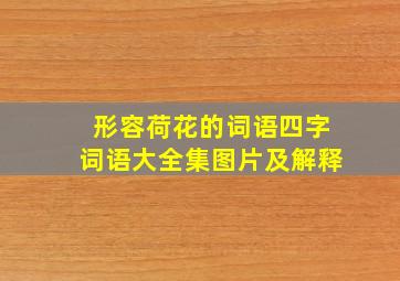 形容荷花的词语四字词语大全集图片及解释