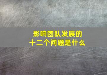 影响团队发展的十二个问题是什么