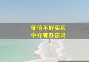 征信不好买房中介有办法吗