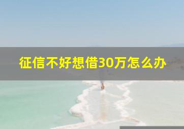 征信不好想借30万怎么办