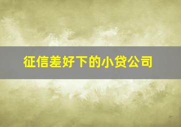 征信差好下的小贷公司