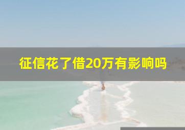 征信花了借20万有影响吗