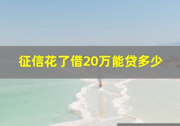 征信花了借20万能贷多少