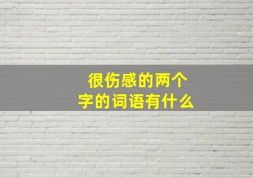 很伤感的两个字的词语有什么