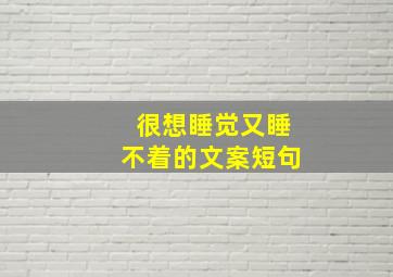 很想睡觉又睡不着的文案短句