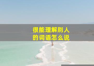 很能理解别人的词语怎么说