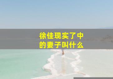 徐佳现实了中的妻子叫什么