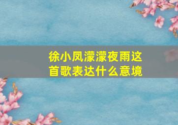 徐小凤濛濛夜雨这首歌表达什么意境