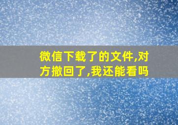 微信下载了的文件,对方撤回了,我还能看吗