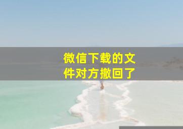 微信下载的文件对方撤回了