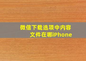 微信下载选项中内容文件在哪iPhone