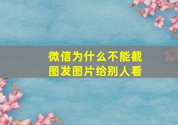 微信为什么不能截图发图片给别人看