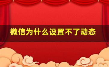 微信为什么设置不了动态