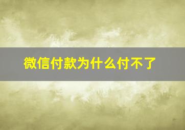 微信付款为什么付不了