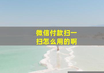 微信付款扫一扫怎么用的啊