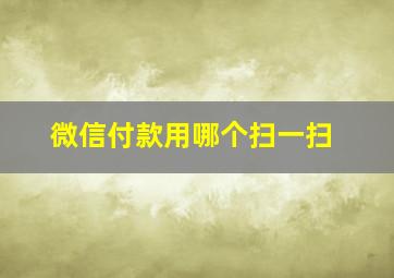 微信付款用哪个扫一扫