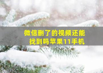 微信删了的视频还能找到吗苹果11手机